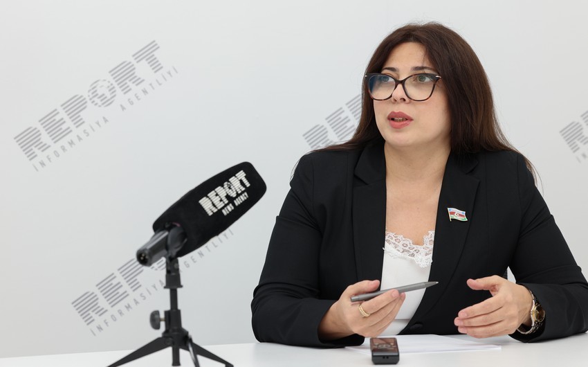 Сабина Салманова: Произошедшее полностью противоречит стратегическому партнерству Азербайджана и России
 