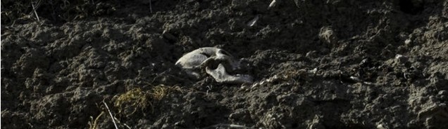 В Агдере обнаружены человеческие останки
 