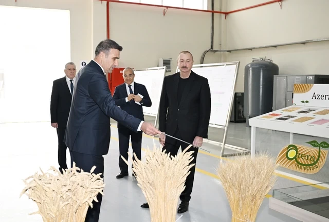 Президент ознакомился с деятельностью семеноводческого предприятия в Сабирабадском промышленном квартале - ФОТО