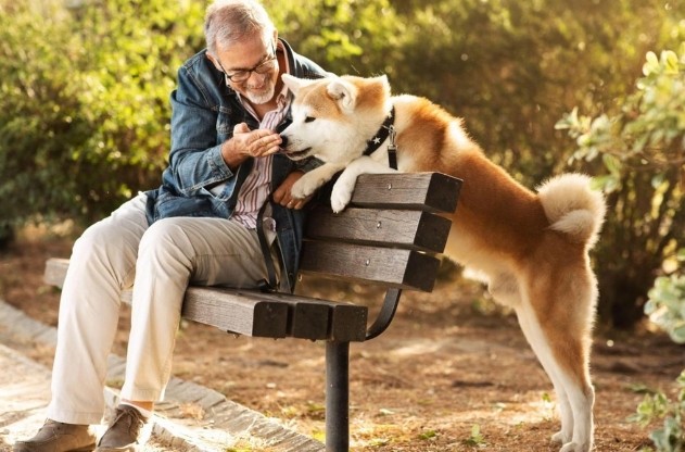 Собаки чувствуют страх человека по запаху
 