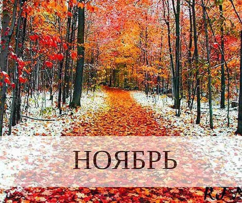 Обнародован прогноз погоды на ноябрь