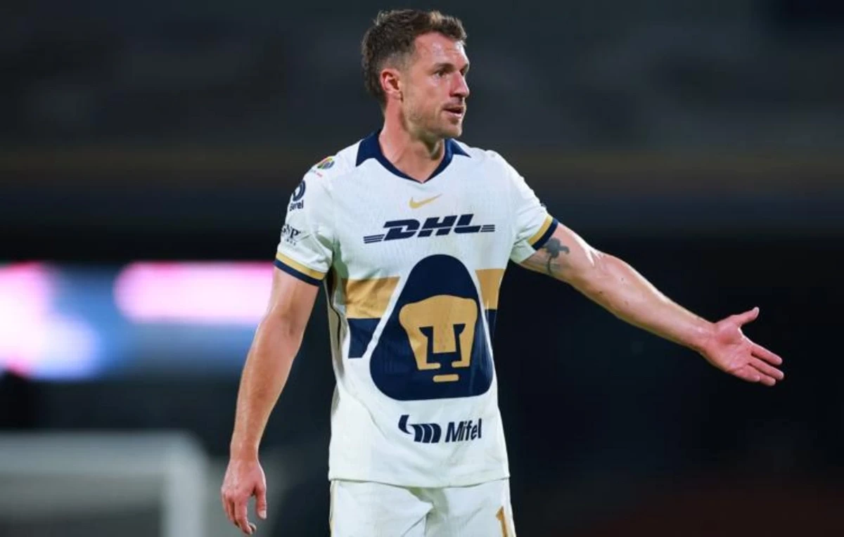 Футболист Рэмзи пообещал 20 000 долларов за информацию о его пропавшей собаке
 