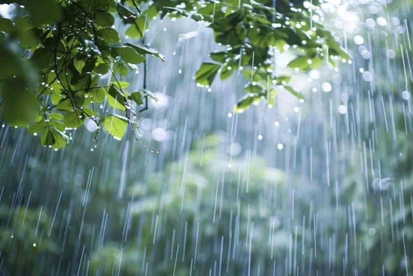 В Баку и регионах ожидаются ливни
 