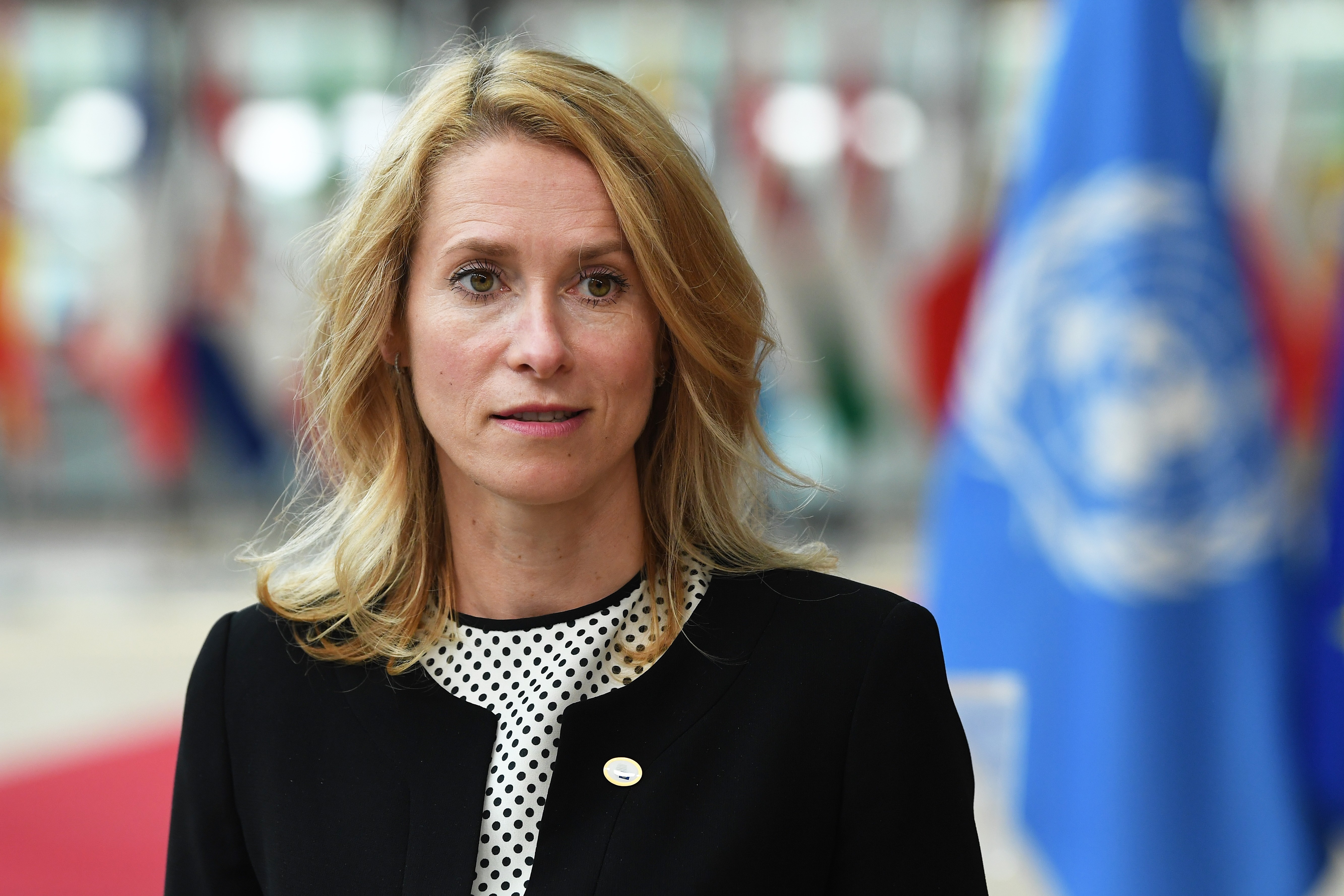 Каллас: Албания, Молдавия, Украина и Черногория могут вступить в ЕС к 2030 году
 