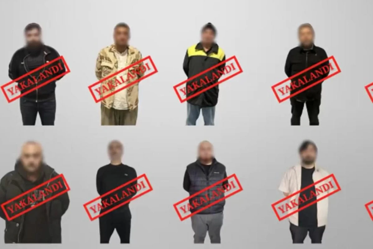 Четыре страны выдали Турции разыскиваемых по линии Интерпола