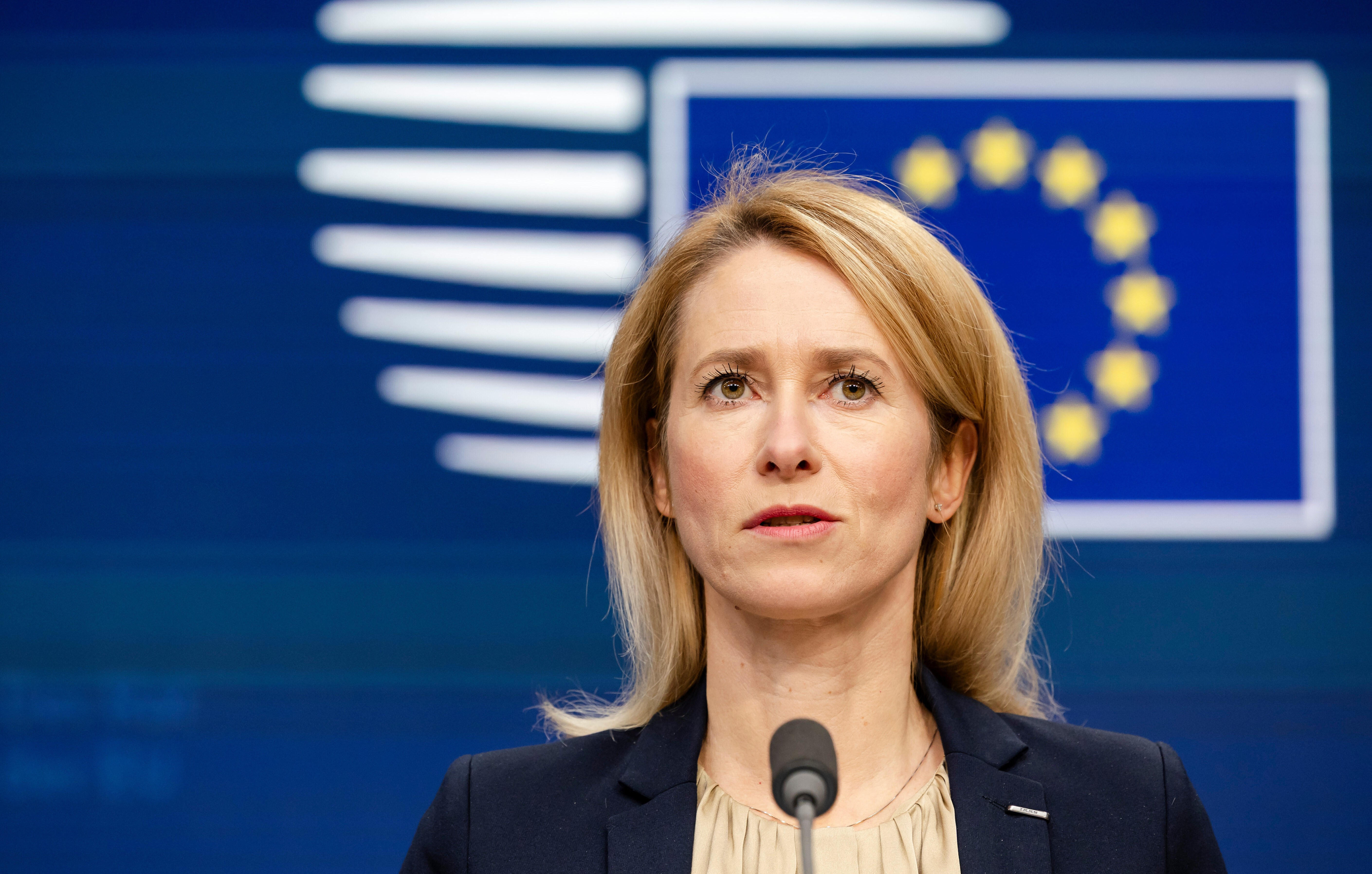 ЕС на фоне мирных усилий по Украине пообещал оружие Киеву
 