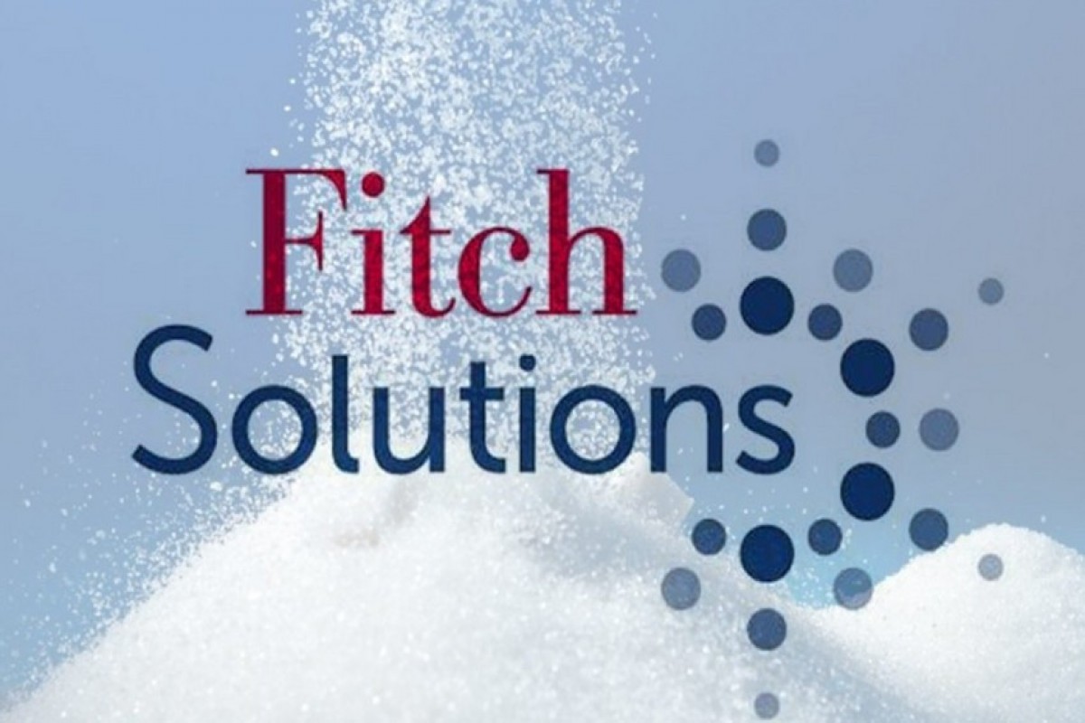 «Fitch Solutions» представила прогноз по экономике Азербайджана
 
