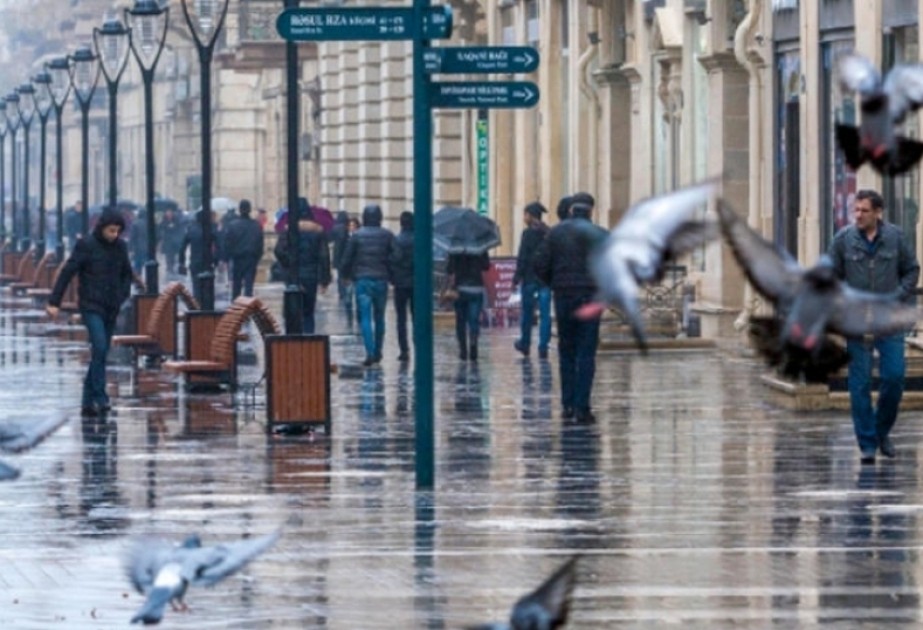 Названа причина интенсивных осадков в Азербайджане
 