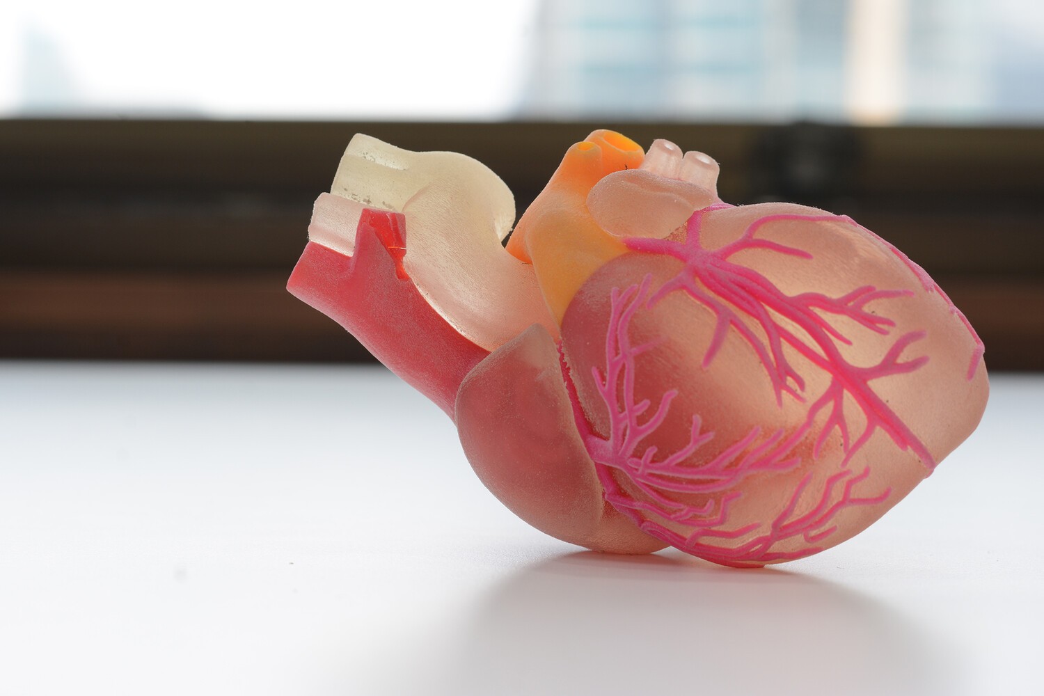 Ученые создали «пластыри» для восстановления сердца
 