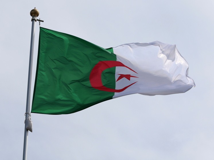 Алжир обсуждает признание французской колонизации преступной
 