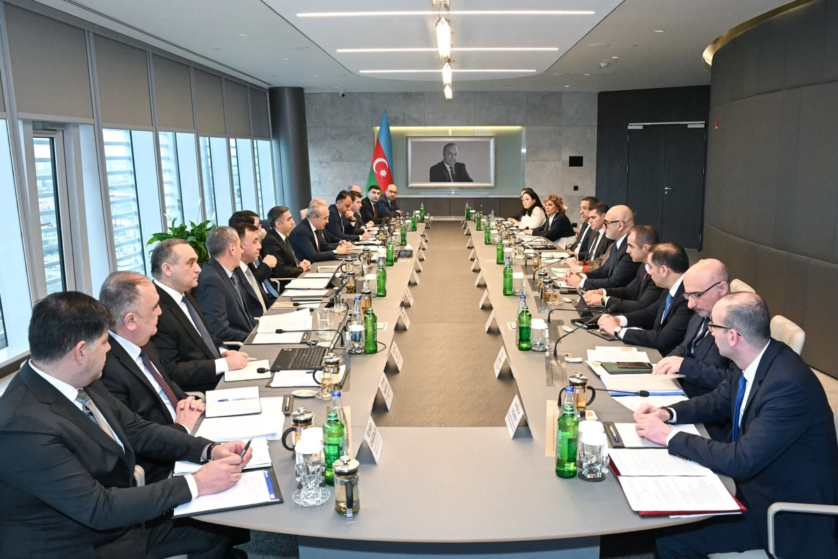 Микаил Джаббаров обсудил перспективы фармацевтической отрасли Азербайджана
 