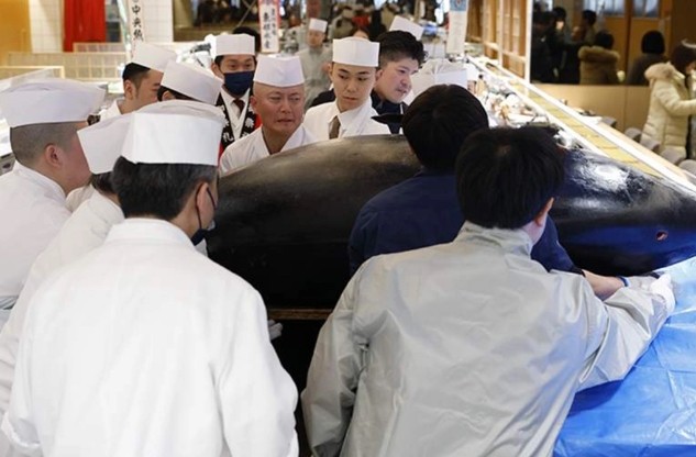 В Японии продали голубого тунца по рекордной цене
 