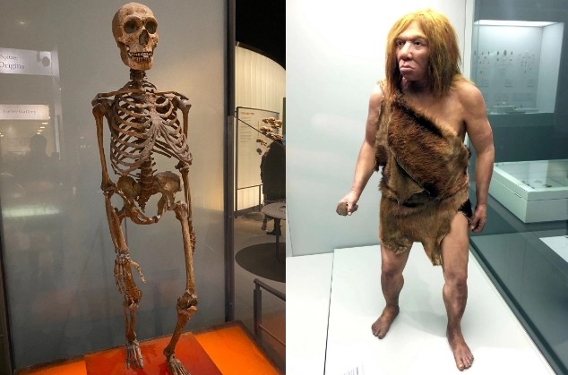 На юге Азербайджана нашли останки 80-тысячелетнего неандертальца
 