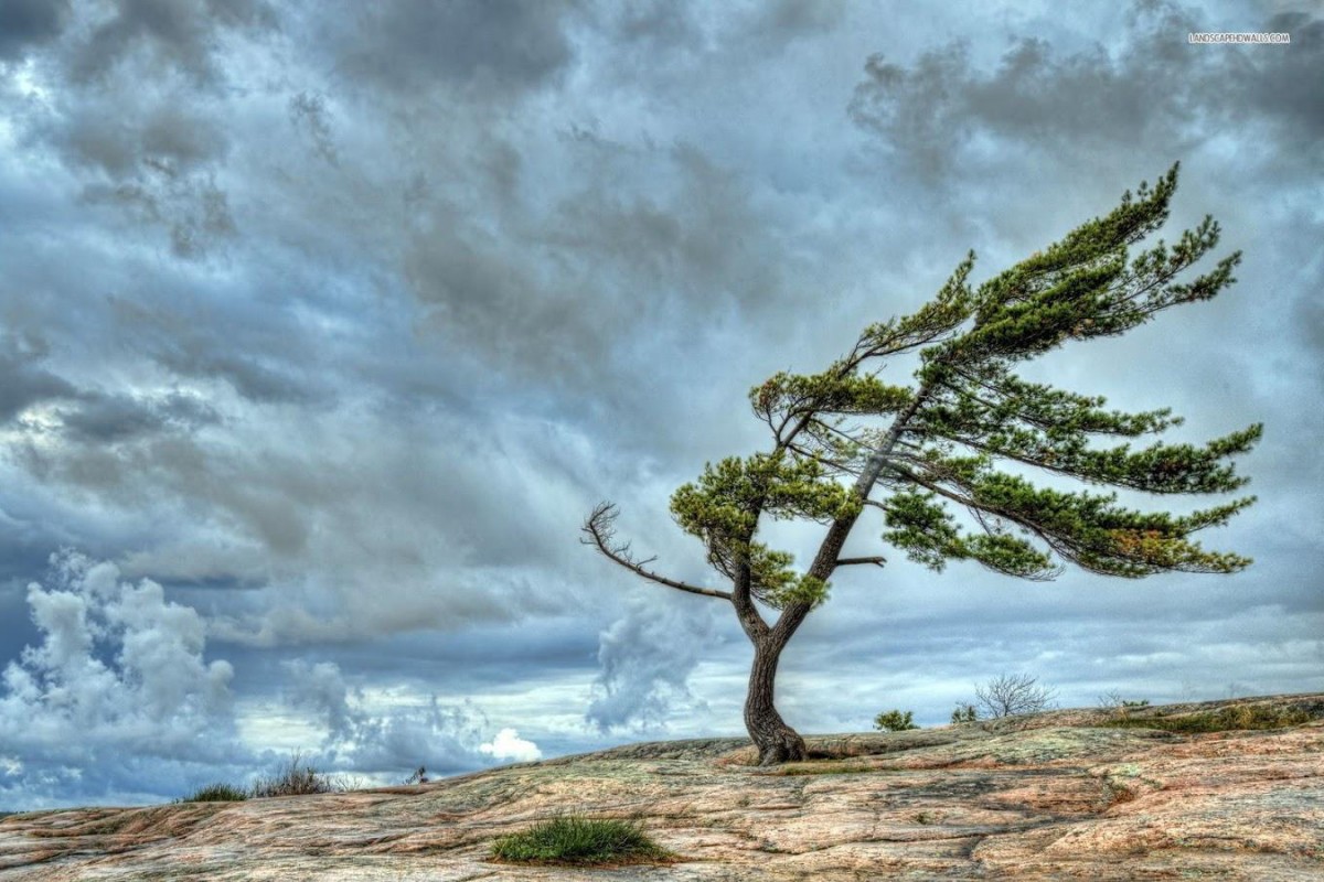 10 января в Баку и регионах ожидается сильный ветер
 