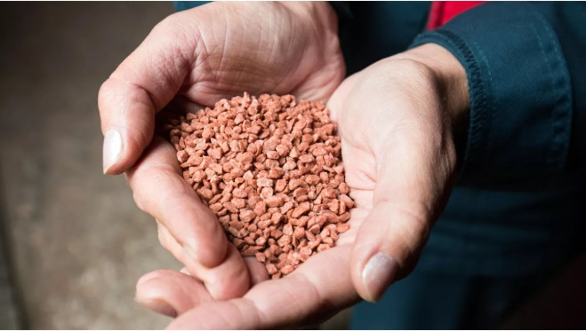 Россия стала крупнейшим поставщиком гречки и нарастила экспорт удобрений в США
 