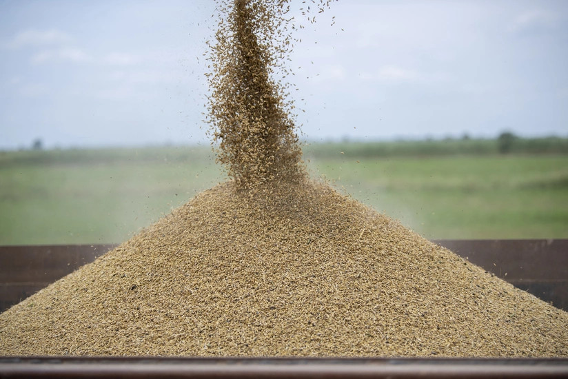 Страховые выплаты аграриям в Азербайджане по зерновым выросли более чем на 60%
 