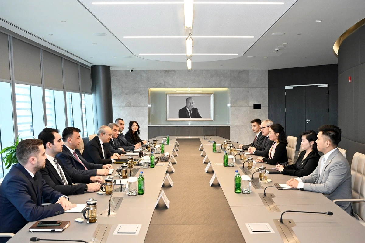 Азербайджан и VinFast обсудили перспективы сотрудничества в сфере электромобилей
 