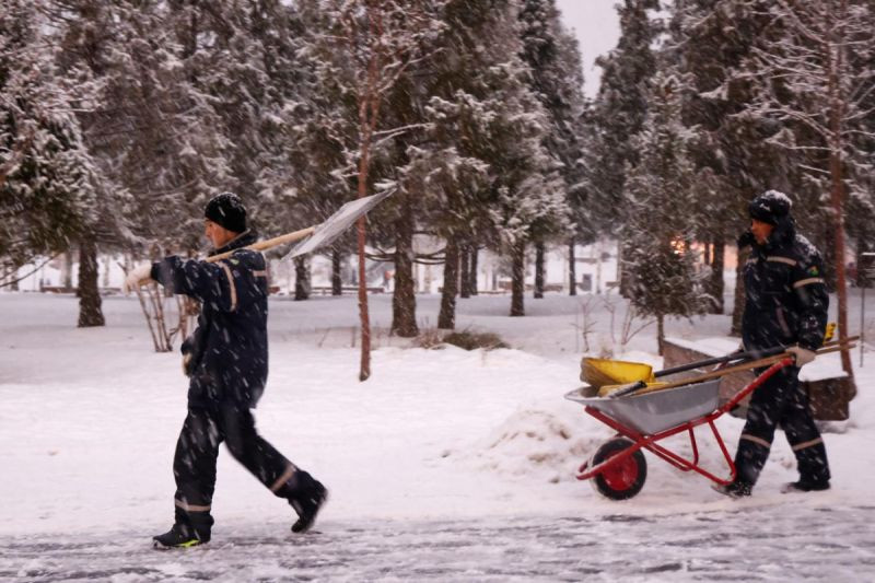 В России запустят эксперимент по целевому привлечению трудовых мигрантов