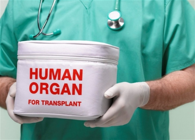 В Азербайджане объявлено число желающих стать посмертными донорами
 