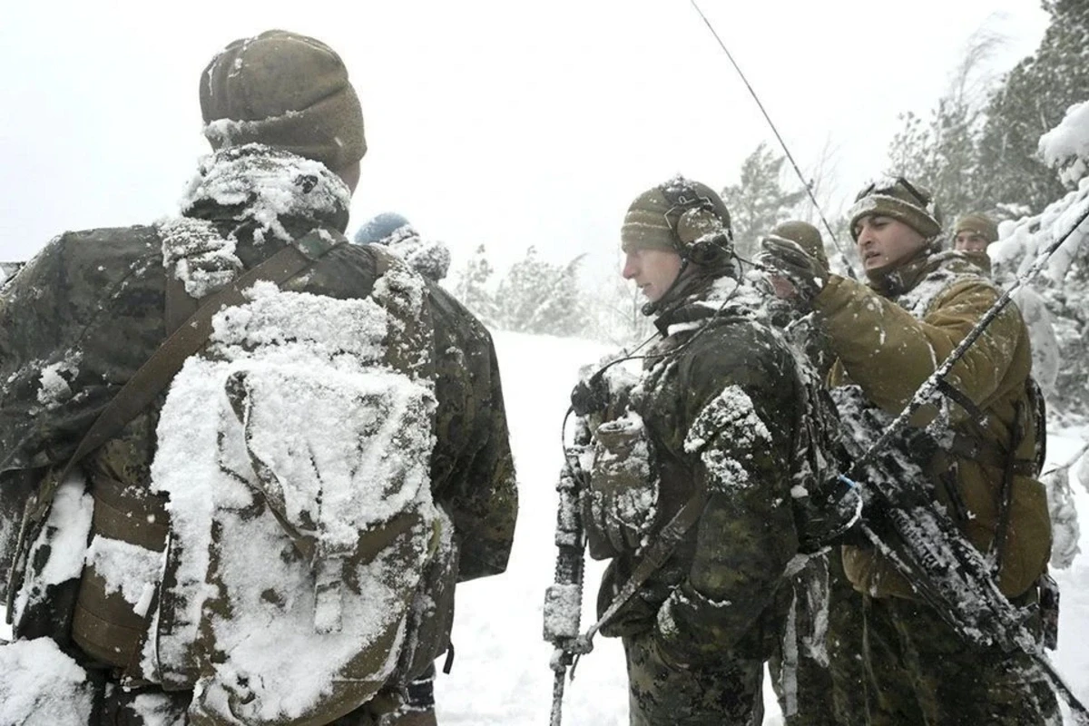 Около 40 финских военнослужащих получили обморожения на учениях за Полярным кругом