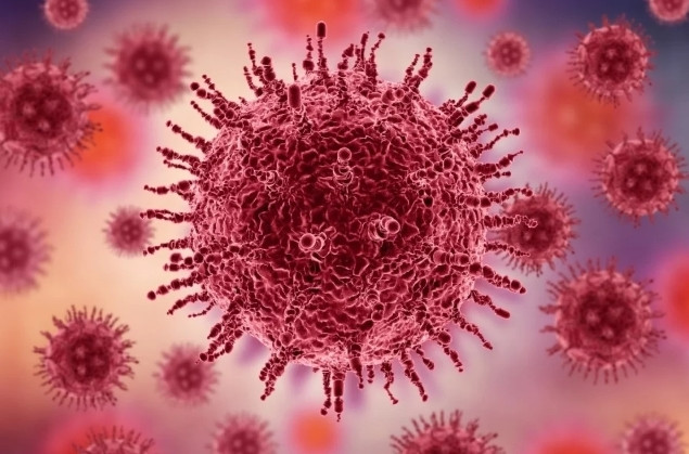 ИИ из США впервые спроектировал новый вирус с нуля
 