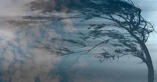 В ряде районов Азербайджана ожидается сильный ветер: объявлено предупреждение
 