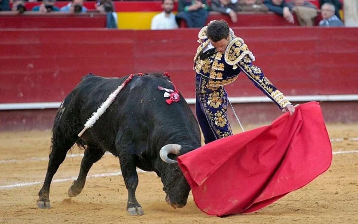 Испания может запретить детям посещать корриду
 