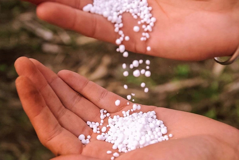 Стоимость экспортированных Азербайджаном азотных удобрений выросла более чем на 35%
 