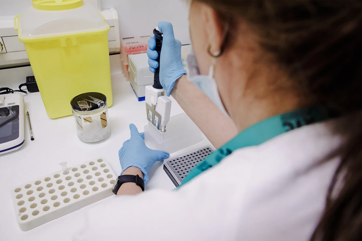 Вирусолог назвал главный симптом оспы обезьян
 