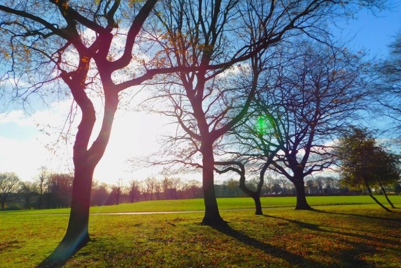 Завтра в Азербайджане ожидается до 18 градусов тепла
 