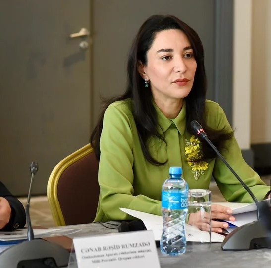 Омбудсмен прокомментировала заявление Amnesty International относительно Рубена Варданяна
 