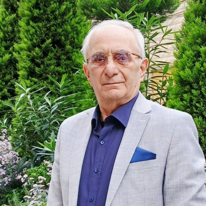 Культура как стратегический ресурс устойчивости общества
 