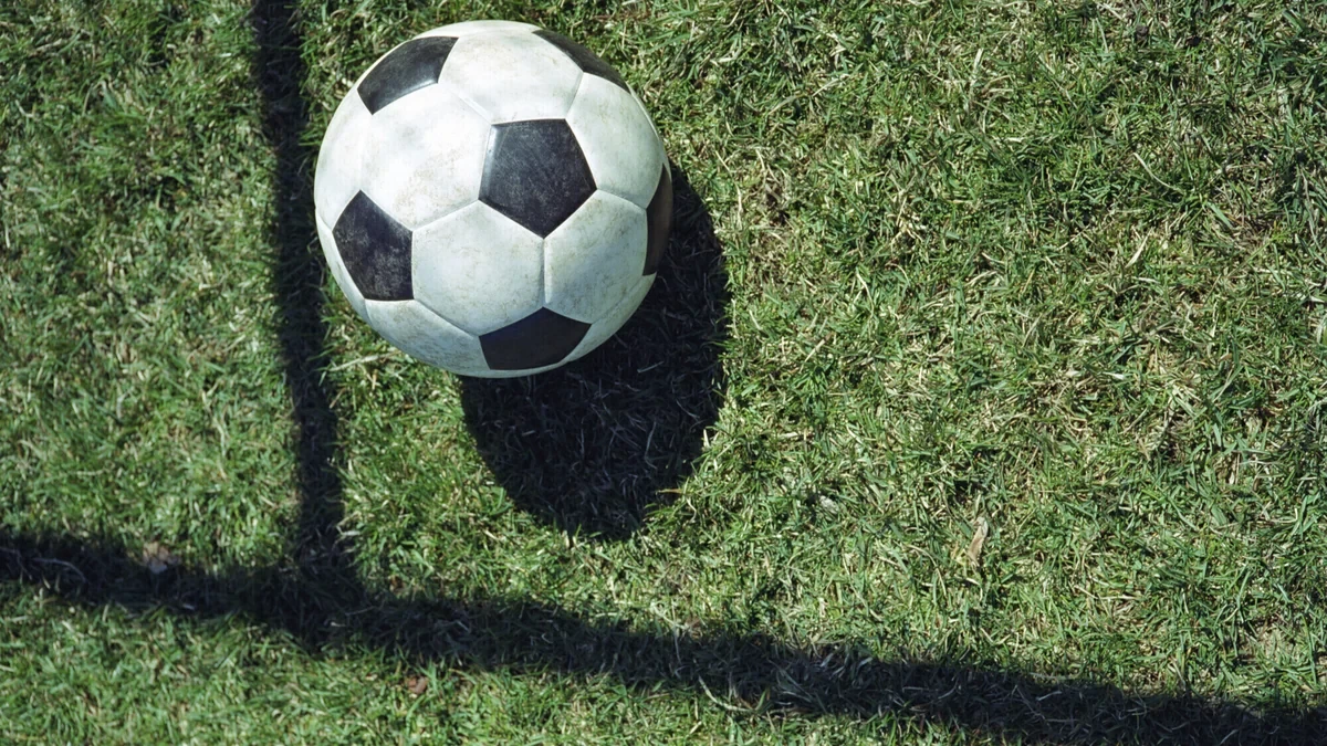 В Израиле отменили все футбольные матчи, запланированные на 28 февраля
 