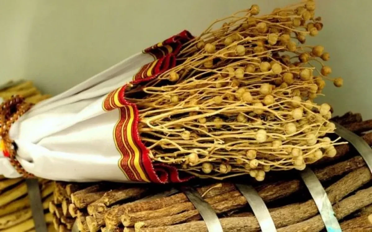 Госагентство Азербайджана предупредило моряков о запрете на ввоз в РФ гармалы
 