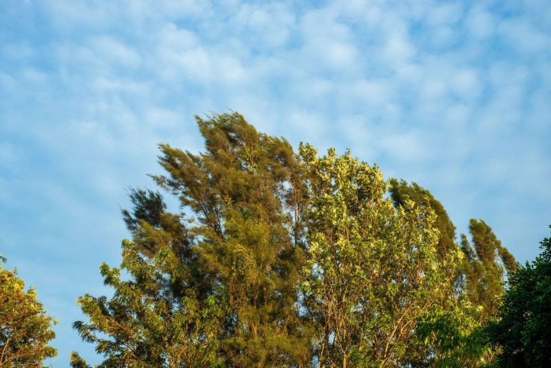 Температура воздуха понизится на 5–8 градусов-ПРЕДУПРЕЖДЕНИЕ 
 