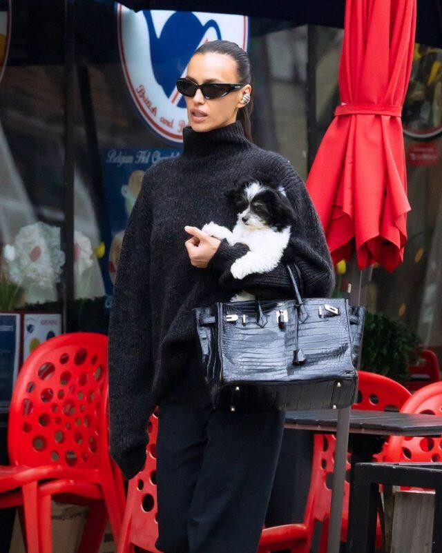 Ирину Шейк заметили с новым питомцем
 