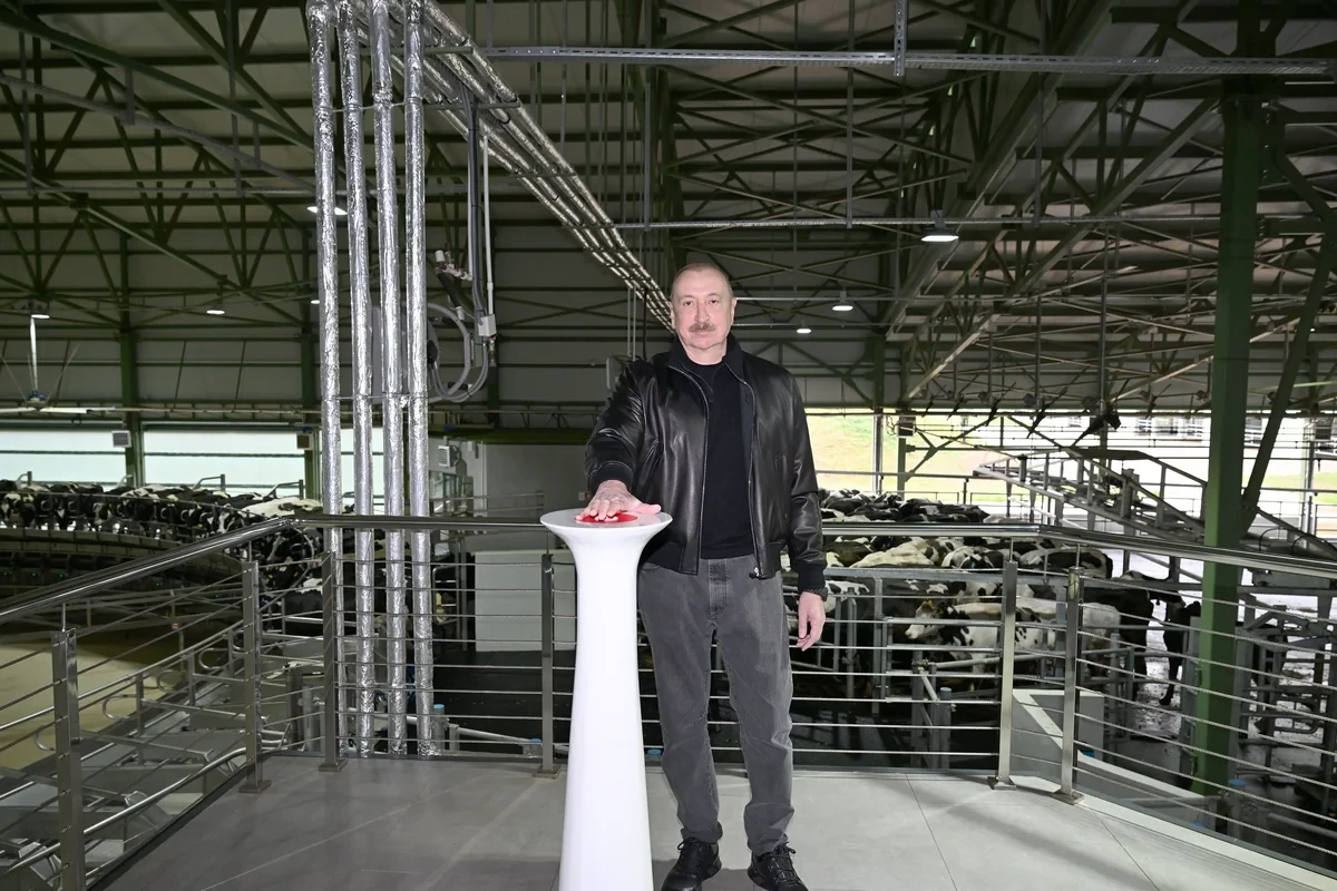 Ильхам Алиев принял участие в открытии животноводческого комплекса 'Ширван Агро' в Шамахы - ФОТО
 