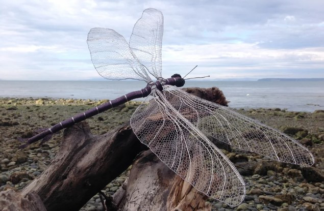 Гиганты прошлого: ученые раскрыли причину исчезновения крупных насекомых
 