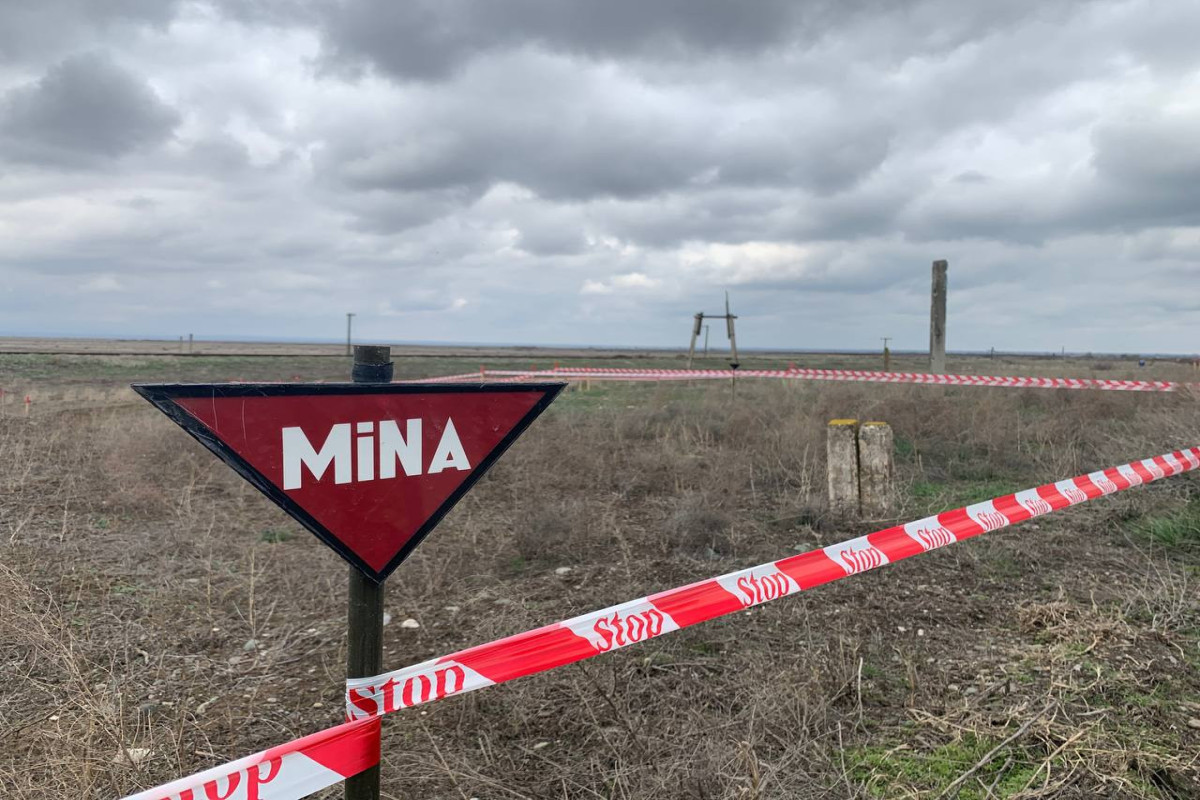 ANAMA: На освобожденных территориях за неделю от мин очищено более 2,2 тыс. га территории
 