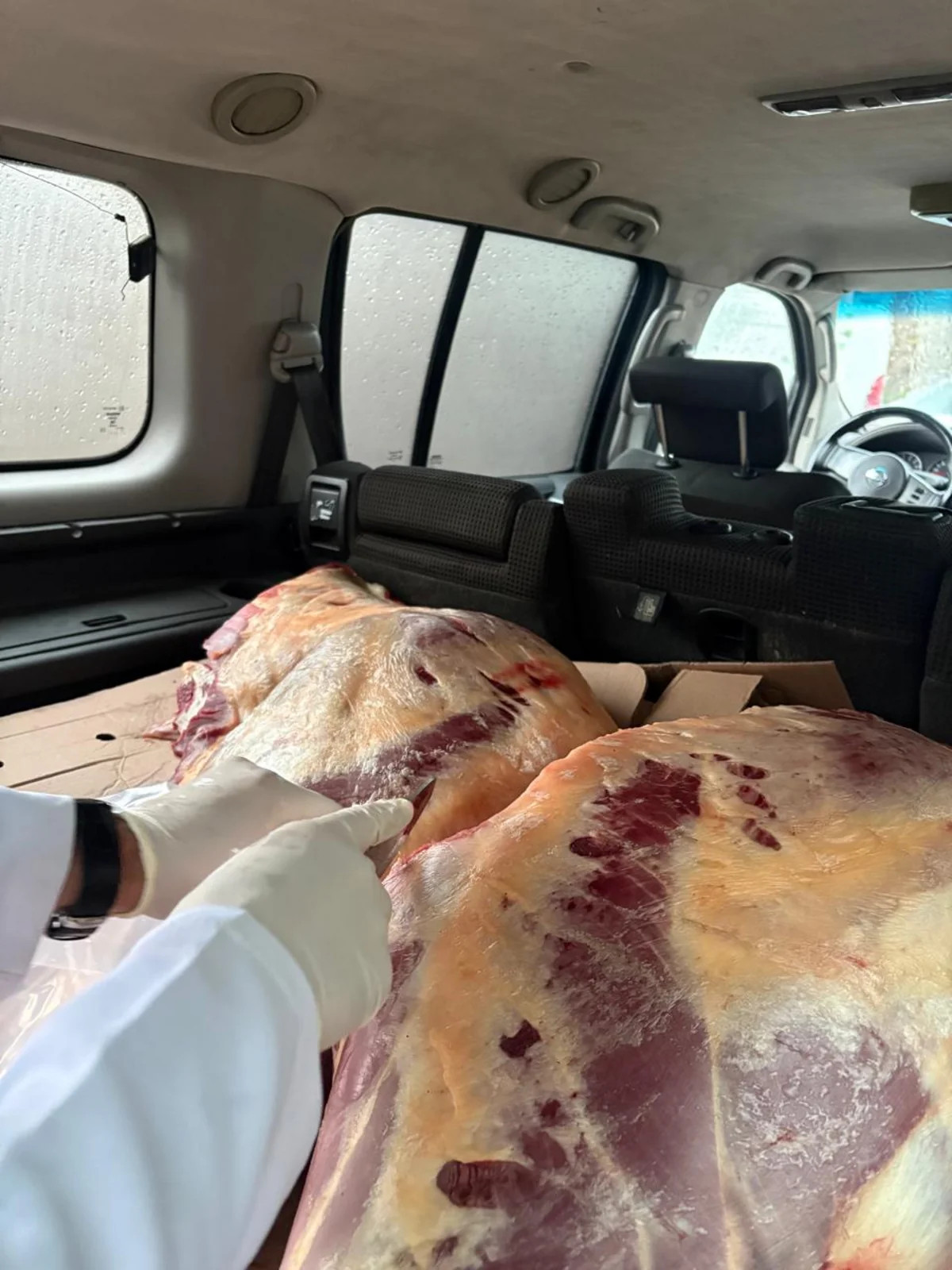 В Масаллы обнаружено 227 кг непригодной для употребления конины
 