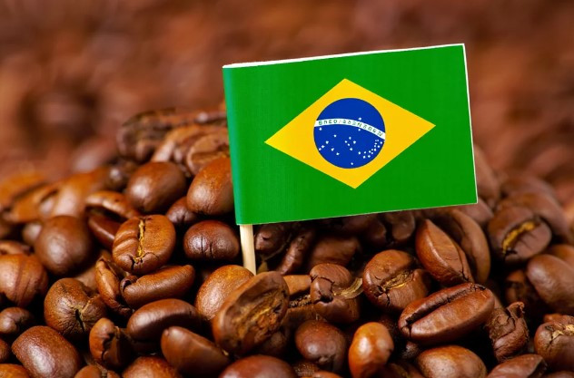 Рекордный урожай кофе в Бразилии: влияние на мировой рынок
 