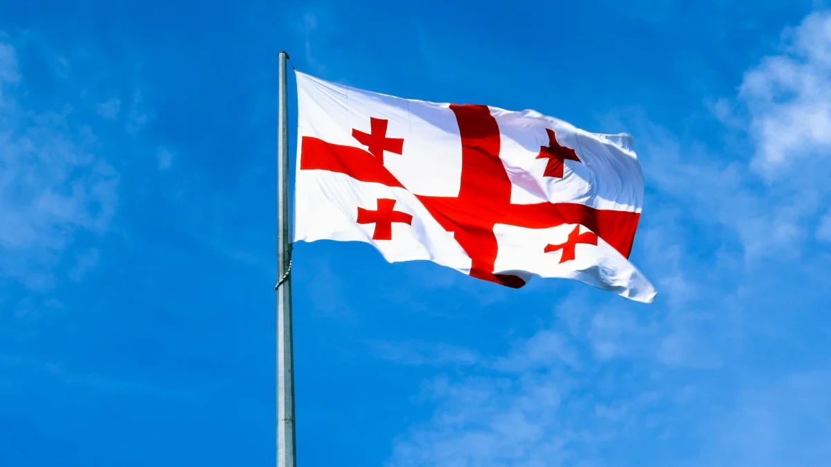 Грузия вводит визу для 'цифровых кочевников'
 