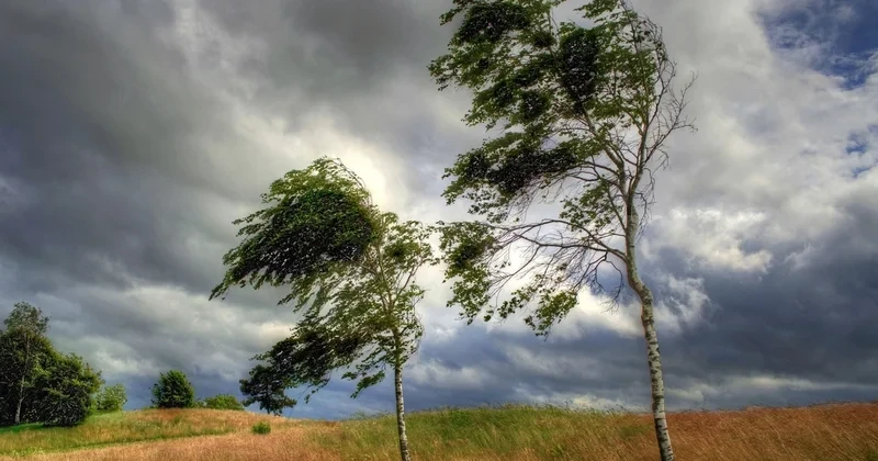 В Баку и регионах с 18 апреля ожидается усиление ветра
 