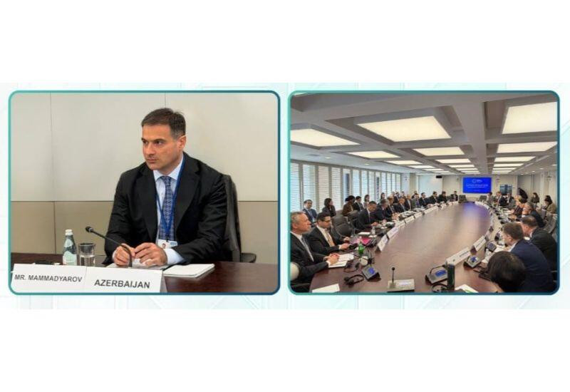 ЦБА и МВФ обсудили макроэкономическую стабильность и региональные вызовы
 