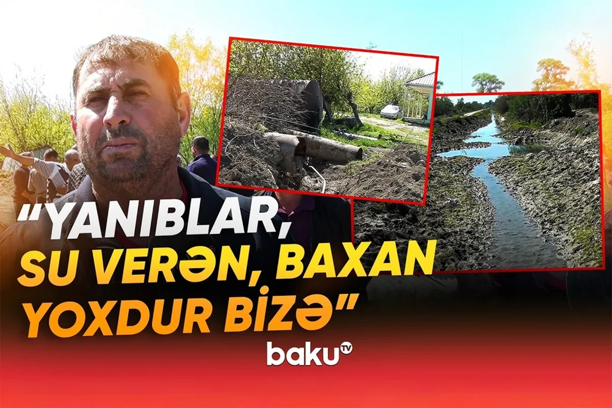 Жители Зардабского района жалуются на отсутствие воды: Наши посевы сохнут - ВИДЕО
 
