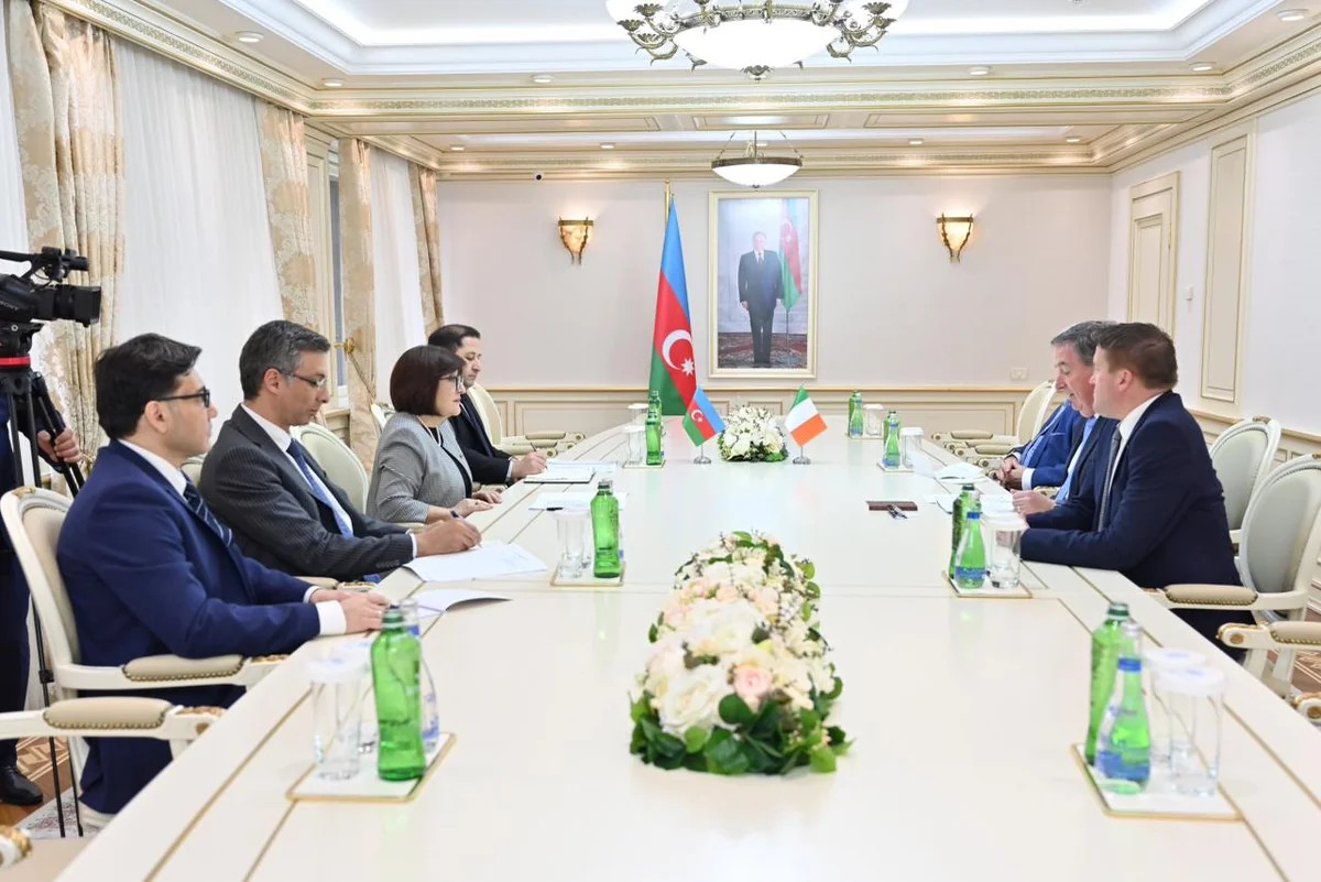 Сахиба Гафарова и Тони МакКормак обсудили мирный процесс между Баку и Ереваном
 