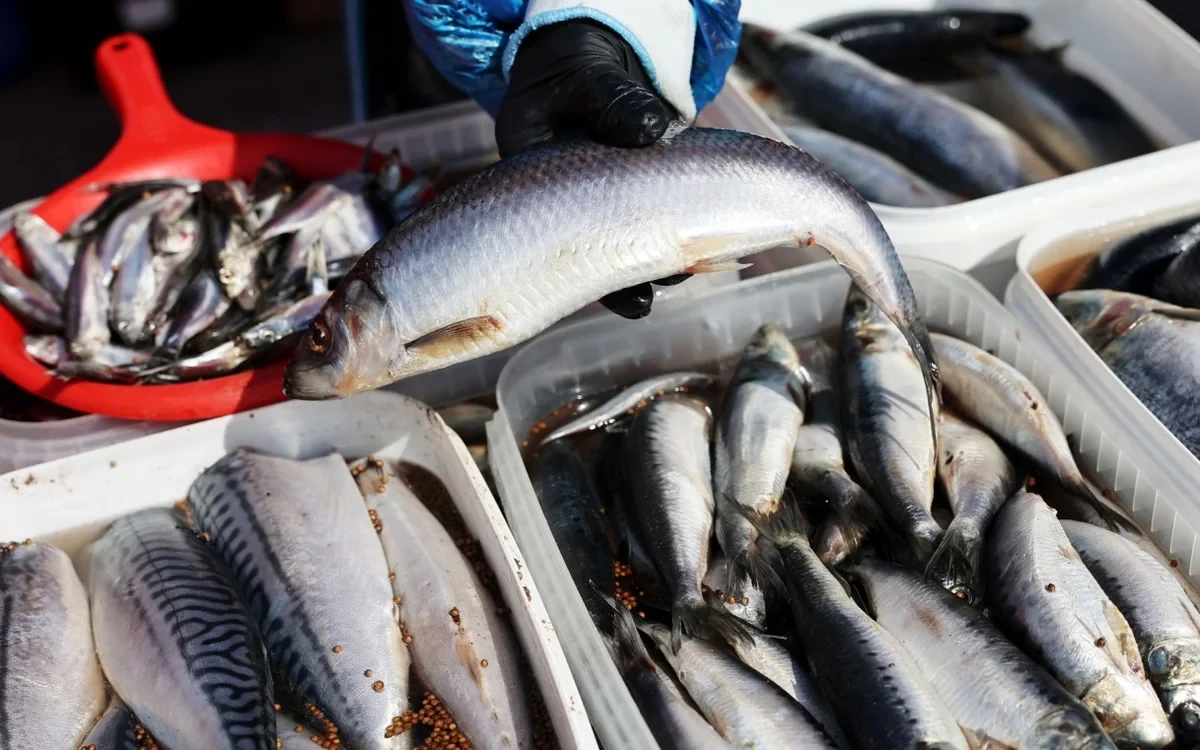 Россия ограничила поставки рыбной продукции со всех предприятий Армении
 