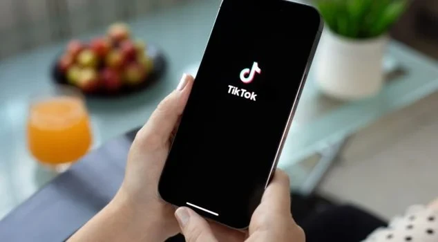 В Британии начали расследование против TikTok
 