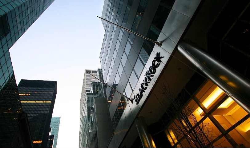 BlackRock превратилась в финансового гиганта мирового масштаба
 