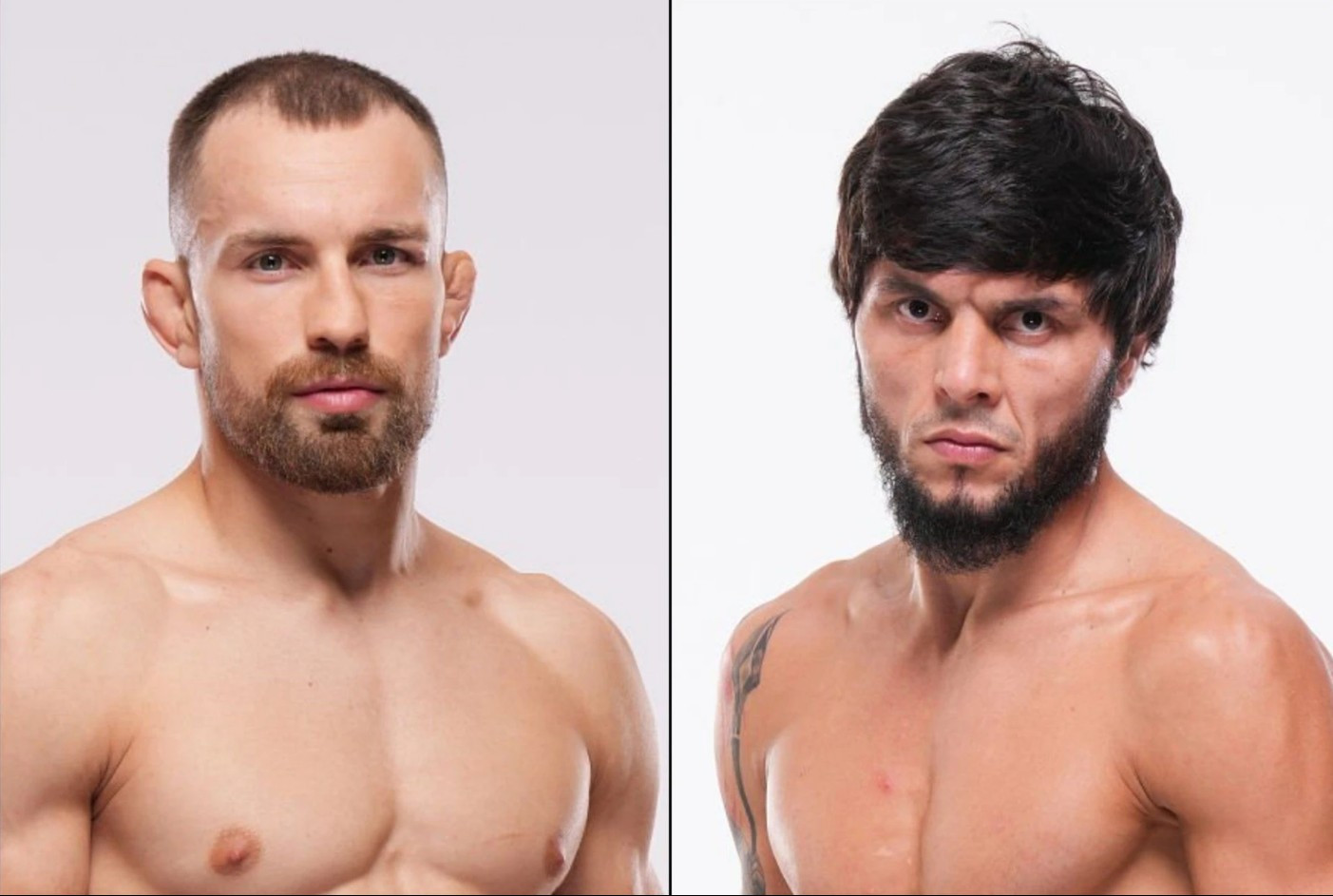 Тофиг Мусаев проведет очередной поединок в UFC
 